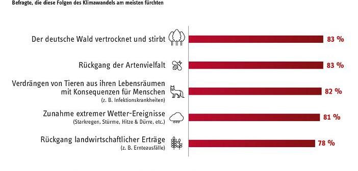 Umfrage: 83% der Deutschen haben Angst, dass der Wald als Klimawandel-Folge stirbt